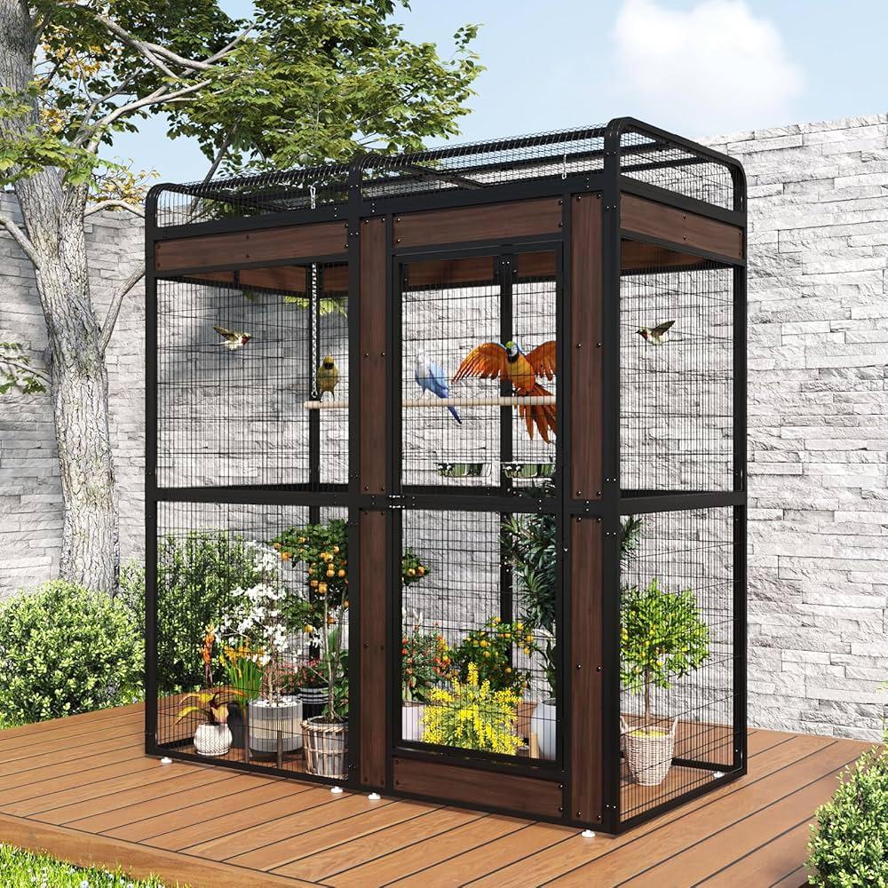 How to Create a Safe Outdoor Aviary for Your Birds