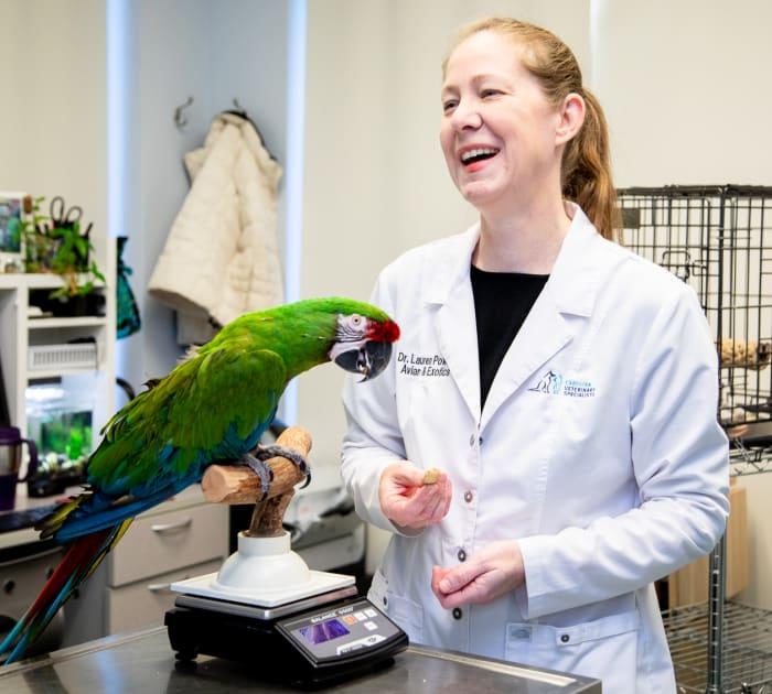 When and How to Take Your Bird to the Vet