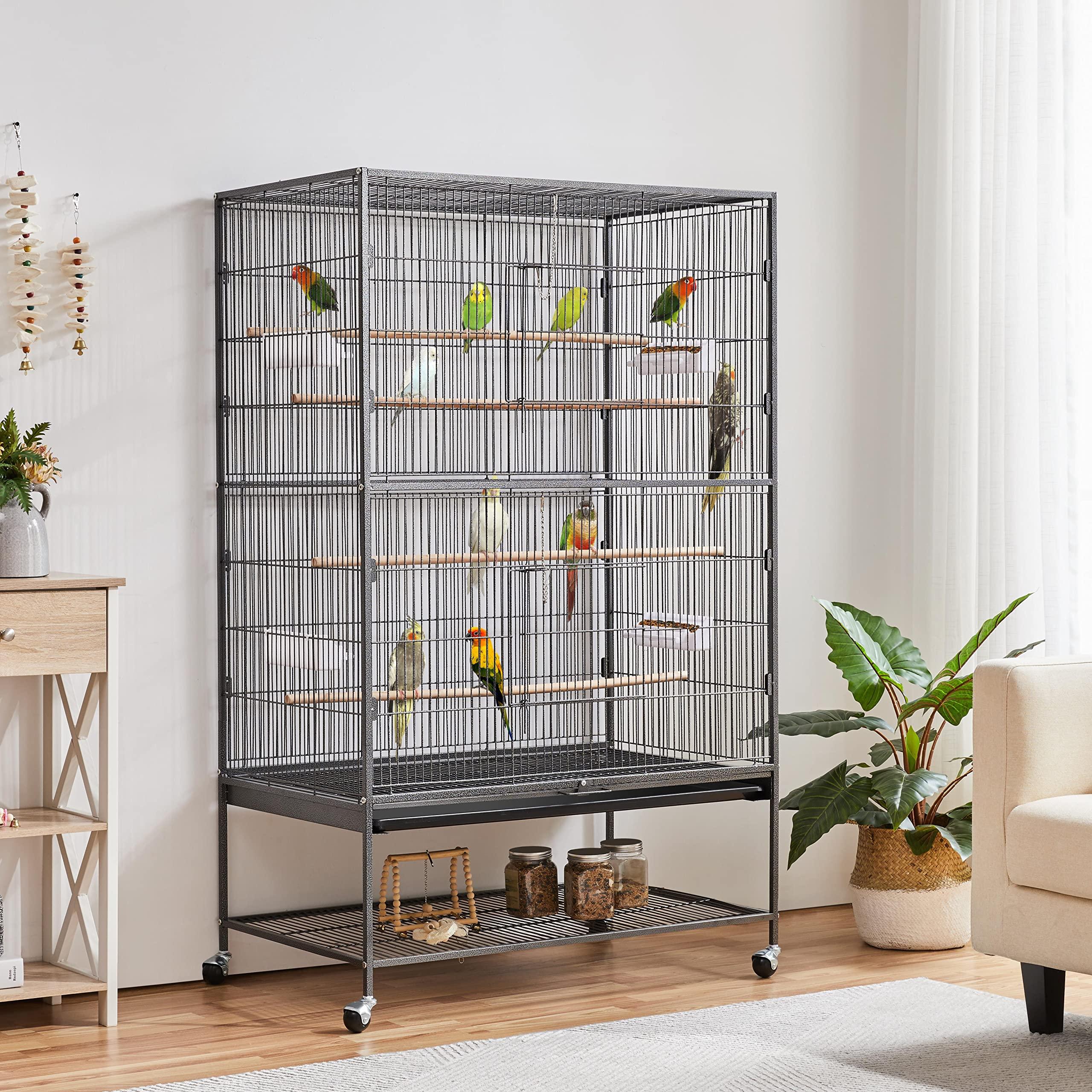 Our top cage recommendations by species and size including budgies cockatiels African greys Amazons and macaws