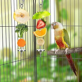 Build a foraging rich cage with seed hunts paper shreddables fresh browse and rotating puzzle feeders