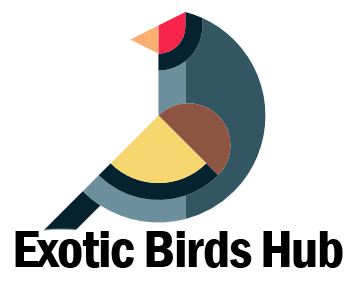 Exotic Birds Hub