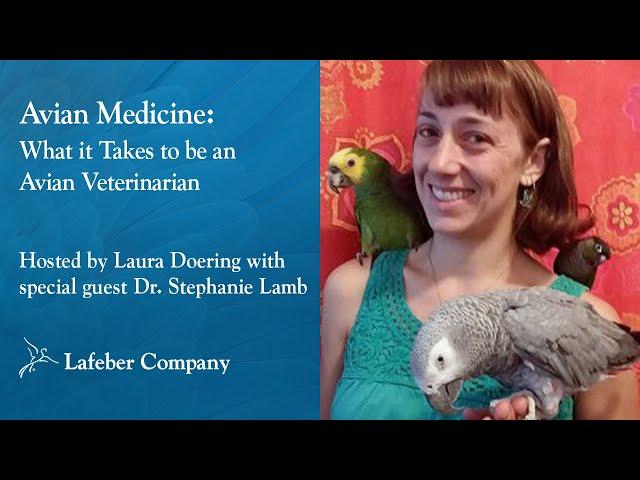 Choosing the right avian vet How to evaluate credentials, emergency access, and cost before you book