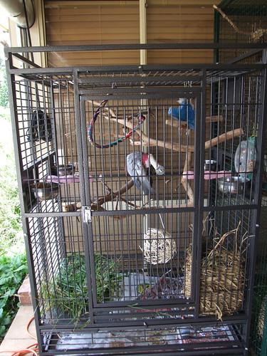 Choose a room with gentle natural light indirect sun and a steady draft free temperature away from vents heaters and windows